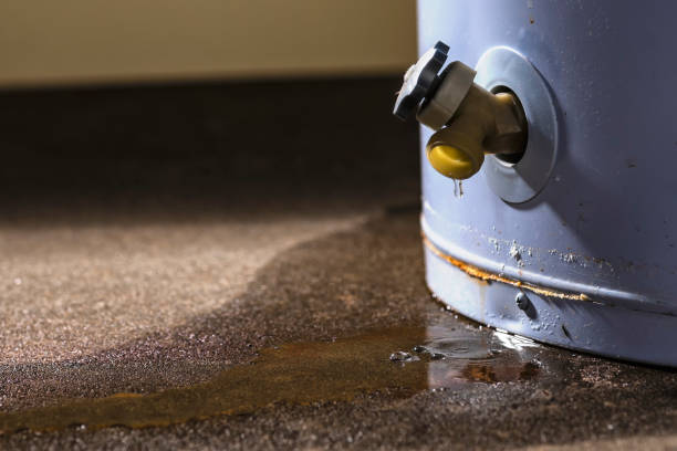 Best Residential water damage restoration  in Ocoee, FL