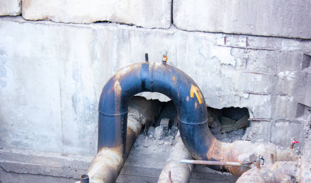 Best Water damage restoration near me  in Ocoee, FL